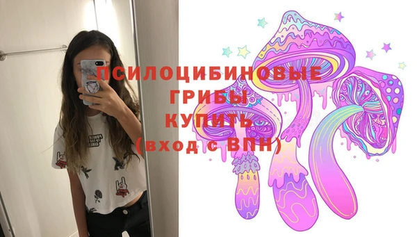 дживик Алексин