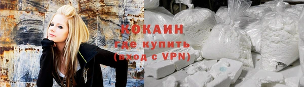 дживик Алексин